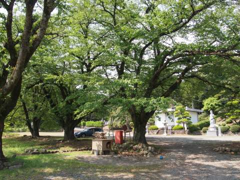 e0045768_21543040.jpg