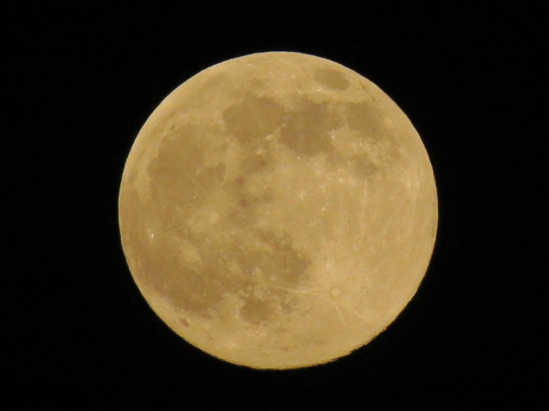c0183777_2122999.jpg
