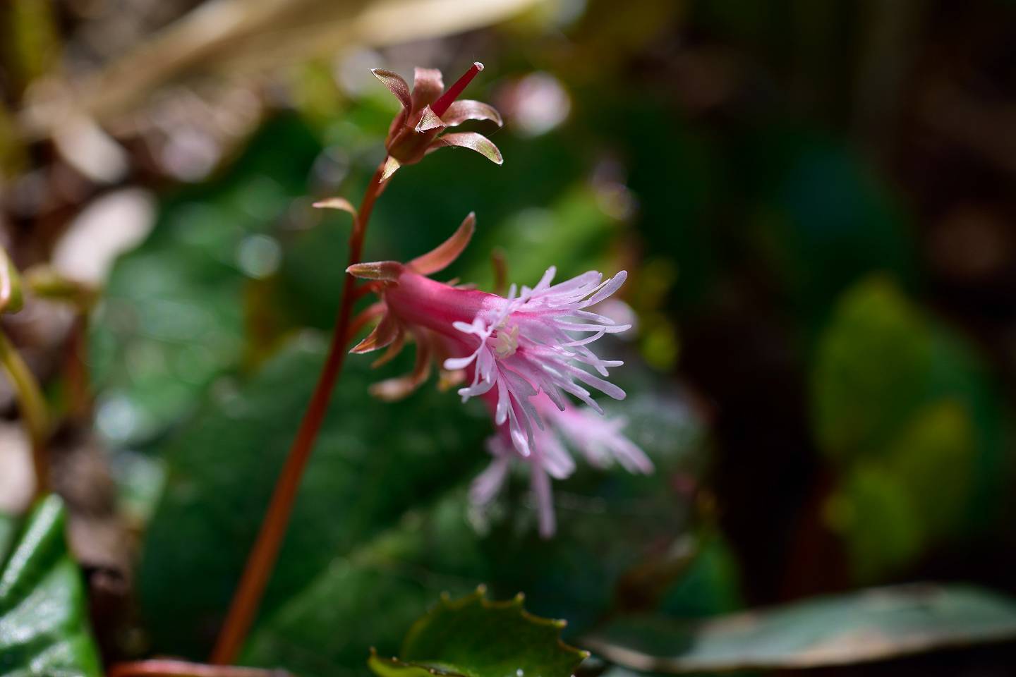 d0328977_17225554.jpg