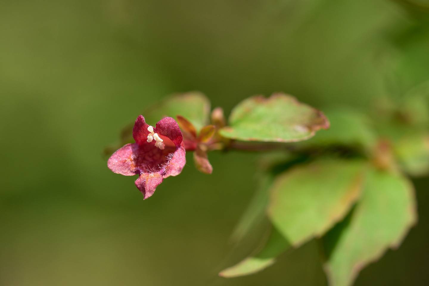 d0328977_17225748.jpg