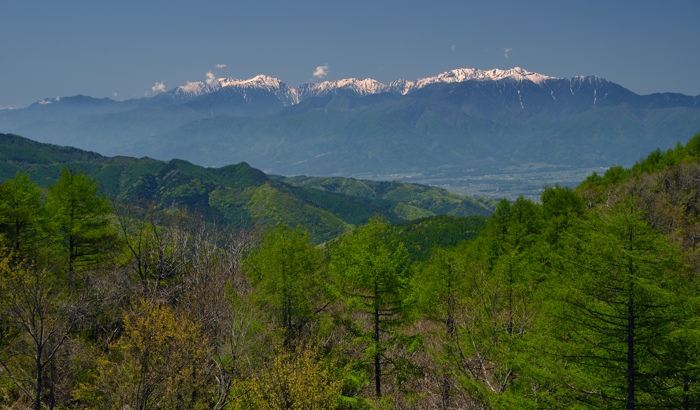 d0341880_8175213.jpg