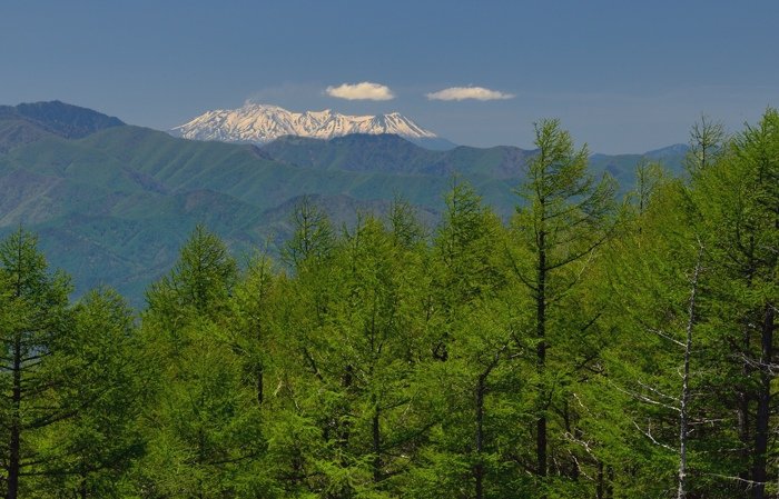 d0341880_8181314.jpg