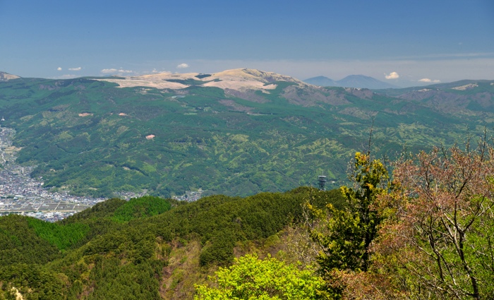 d0341880_8183561.jpg