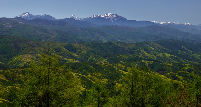 d0341880_8185783.jpg