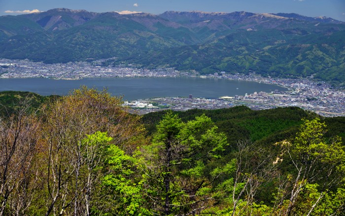 d0341880_8194744.jpg