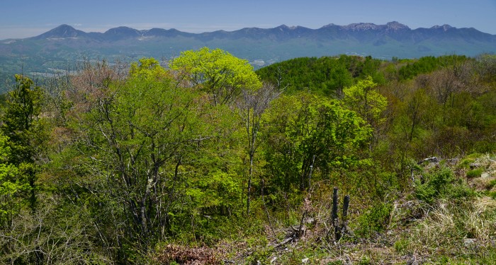 d0341880_8225359.jpg
