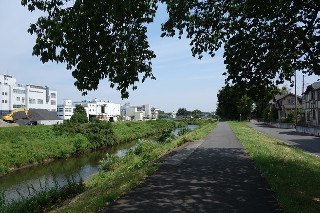d0183387_20391349.jpg