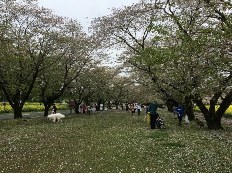 b0135889_21462541.jpg