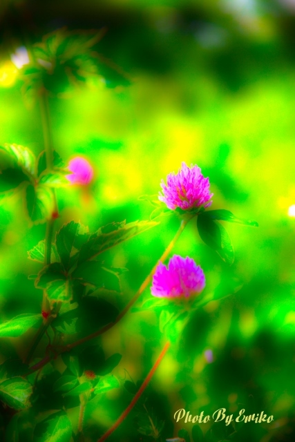 c0246290_23124840.jpg