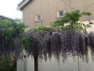 b0124693_18453461.jpg
