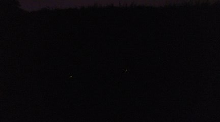 b0205694_8102910.jpg