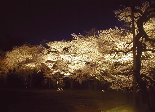 d0053294_171513.jpg