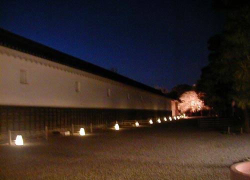d0053294_174365.jpg
