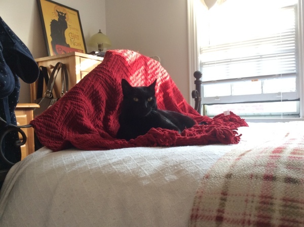 d0130296_19191395.jpeg