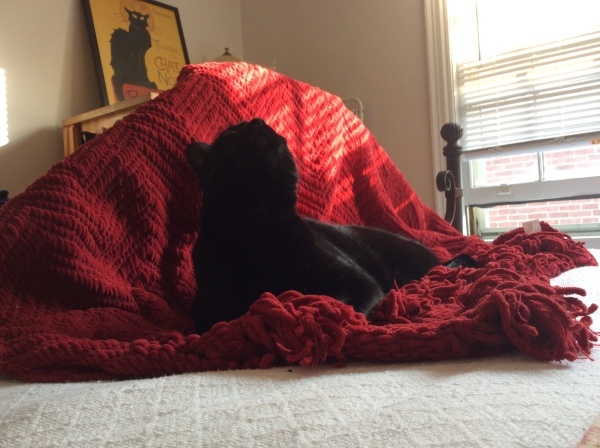 d0130296_19201145.jpeg
