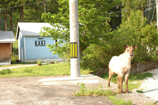 a0061599_734545.jpg