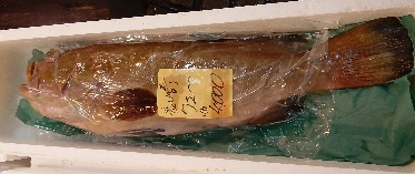 e0077899_1453891.jpg