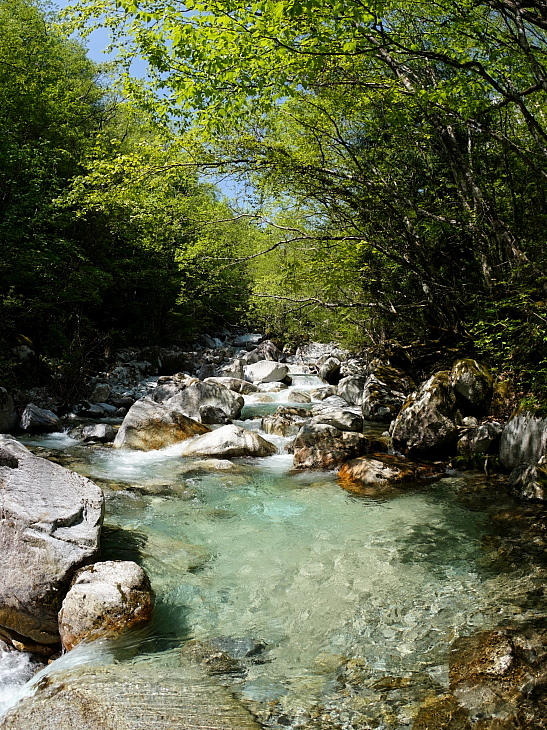 c0339900_8585882.jpg
