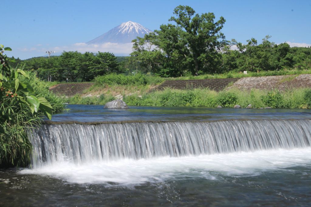 a0188405_07033820.jpg