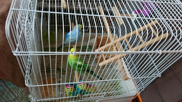 b0009106_23014573.jpg