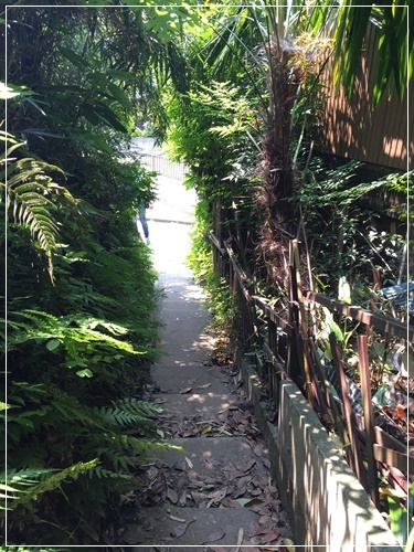 b0289710_07163724.jpg