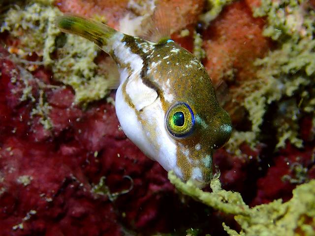 d0175710_20251078.jpg