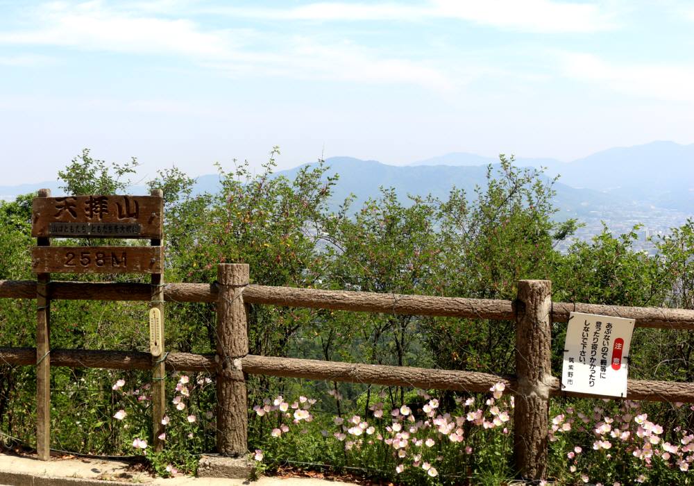 f0212511_23535783.jpg