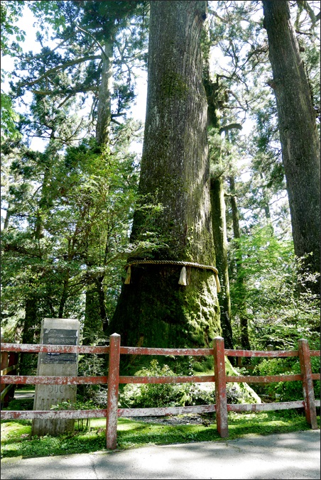 c0157412_22542592.jpg