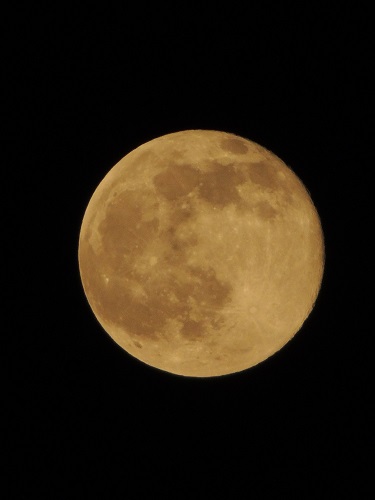f0150620_20565217.jpg