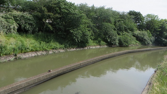c0280322_22541423.jpg