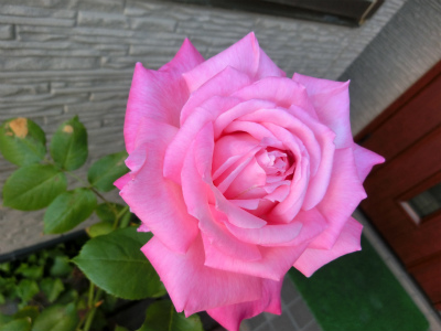 b0128423_9132717.jpg