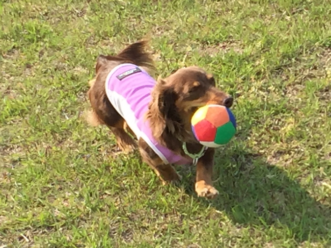 c0117831_11164111.jpg