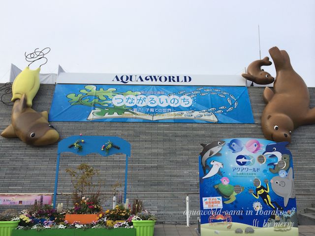 a0207736_1691964.jpg