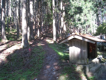 c0077338_7334195.jpg