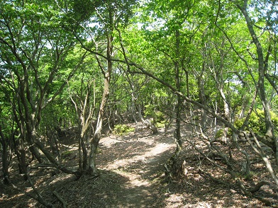 c0077338_735577.jpg