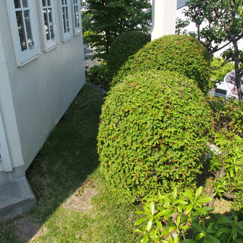 f0360238_15140252.jpg