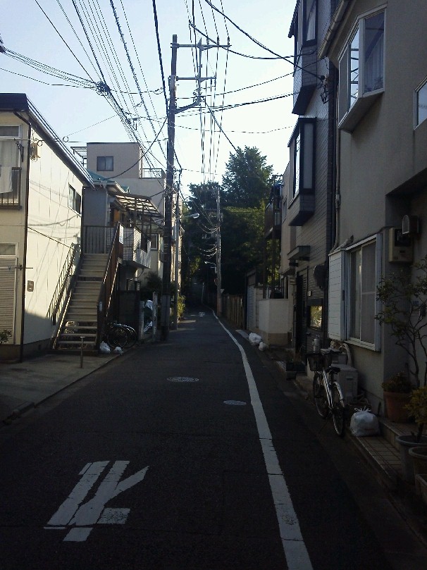b0031140_6482452.jpg