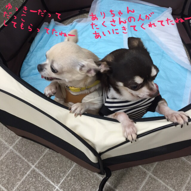 c0342841_20562981.jpg