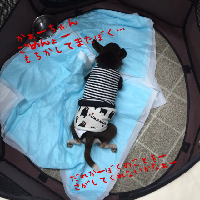 c0342841_21173659.jpg