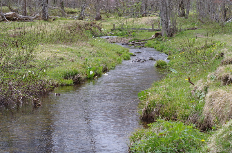 c0077847_11254512.jpg