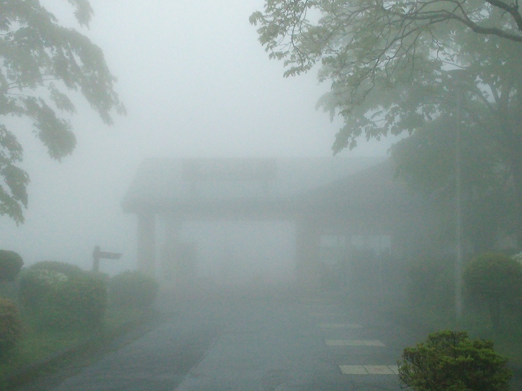 f0087347_2081627.jpg