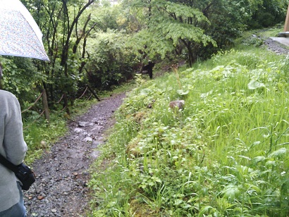 f0087347_21104663.jpg