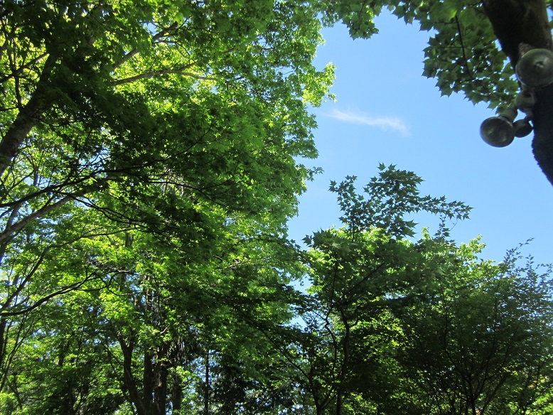 f0087347_23195821.jpg