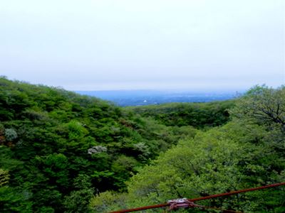 b0220251_731421.jpg