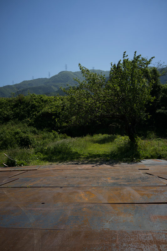 d0342652_749179.jpg