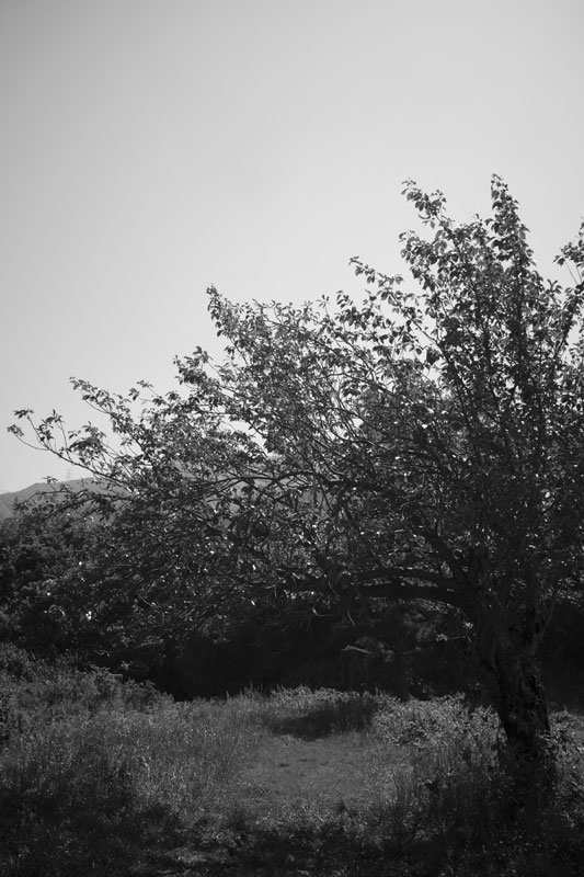 d0342652_7501996.jpg