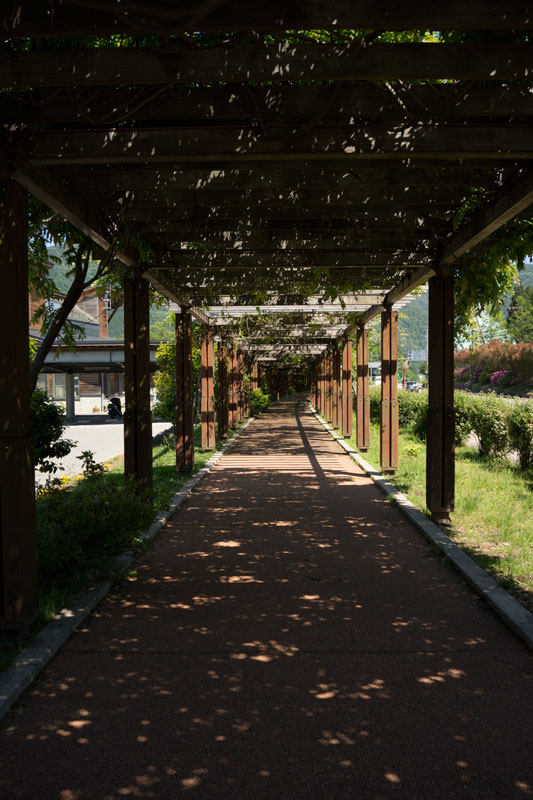 d0342652_88432.jpg