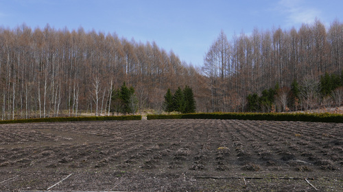 f0027355_2233457.jpg