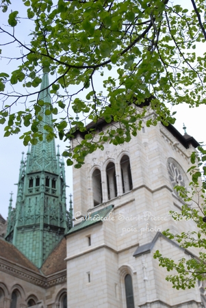 c0206758_23512444.jpg