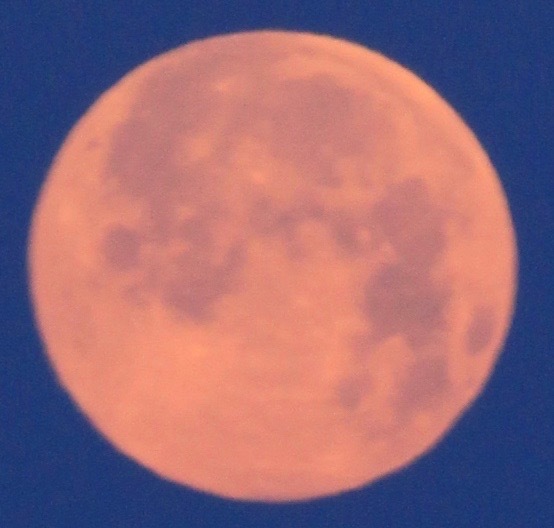 a0248459_15550453.jpg